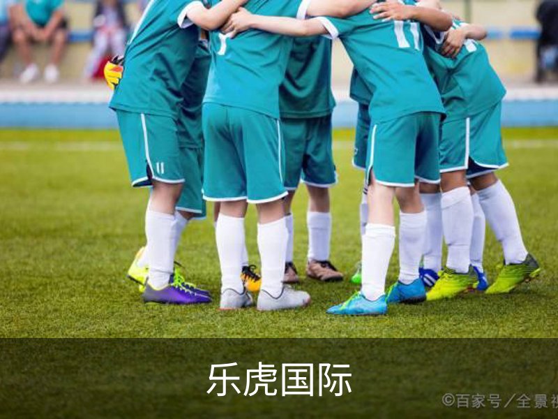 乐虎国际简介